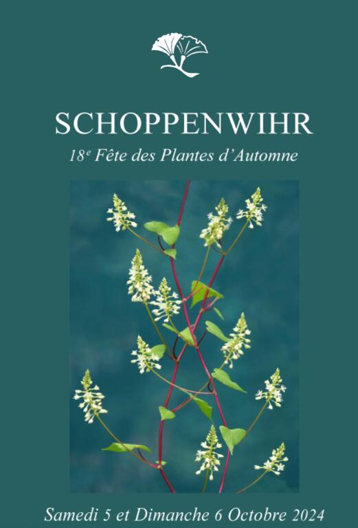 Fête des Plantes - Parc de Schoppenwihr