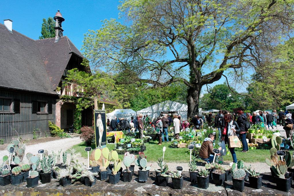 Fête Internationale des Plantes - Parc de Schoppenwihr