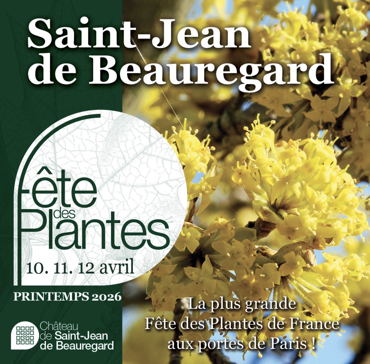 Fête des plantes, château de Saint Jean de Beauregard